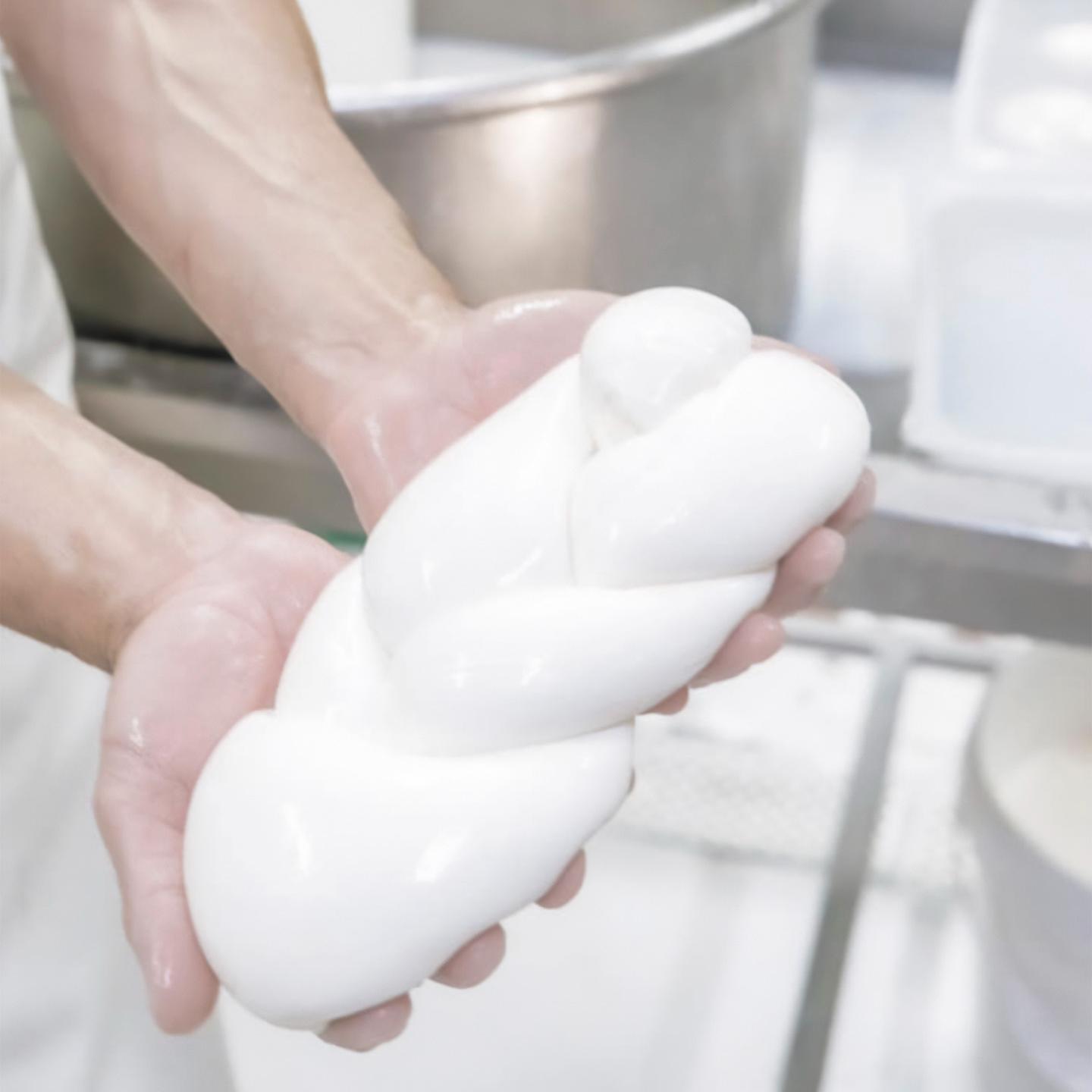 Manos sosteniendo una mozzarella treccia fresca.